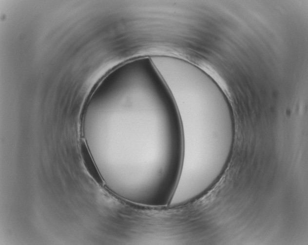 X0000089700996200706211313