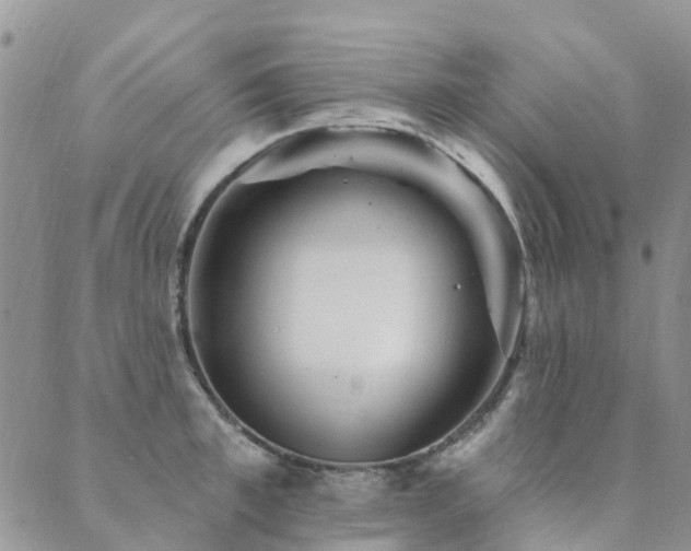 X0000089700997200706211313