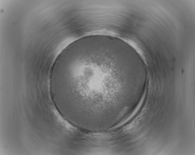 X0000089700998200706211313