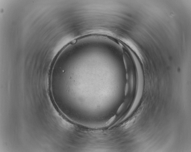 X0000089700999200706211313