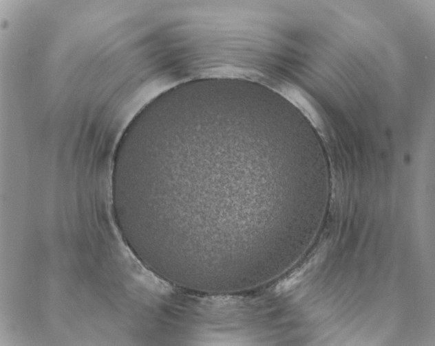 X0000089701000200706211313