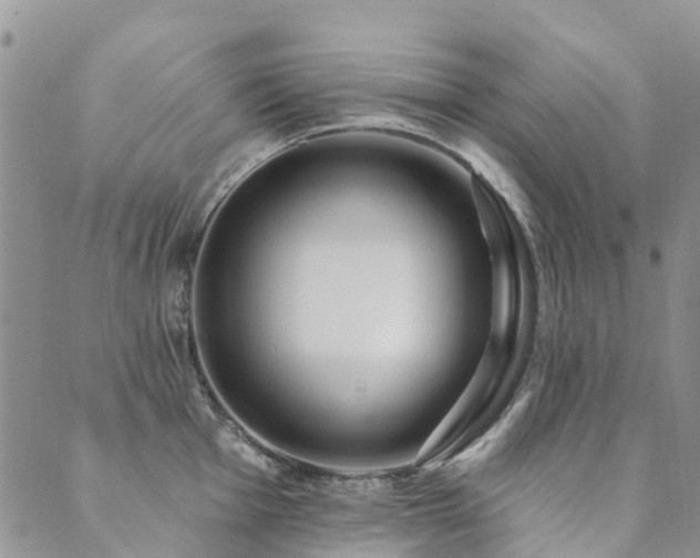 X0000089701001200706211313