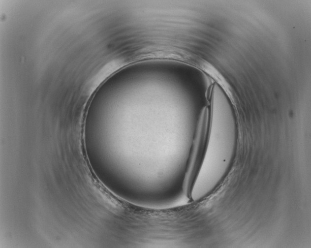 X0000089701002200706211313