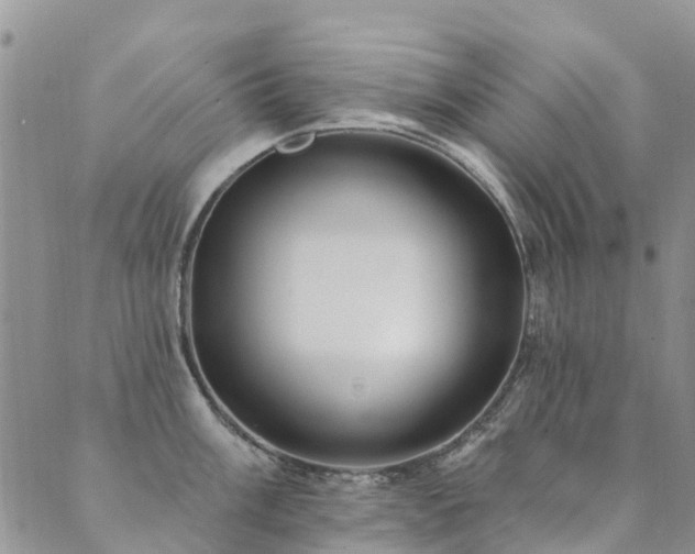 X0000089701003200706211313