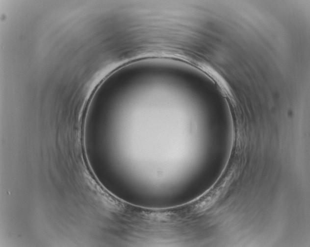 X0000089701004200706211313