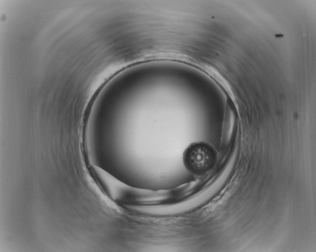 X0000089701005200706211313