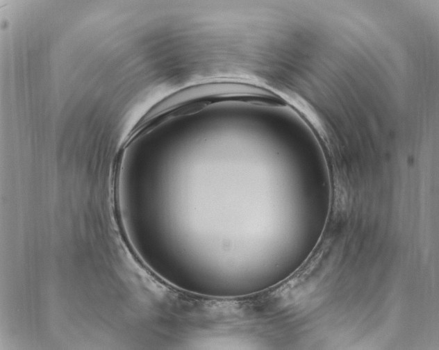 X0000089701006200706211313