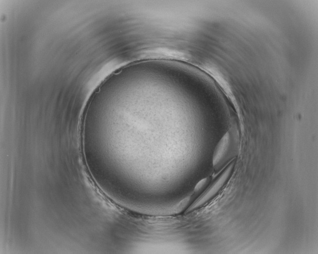 X0000089701008200706211313