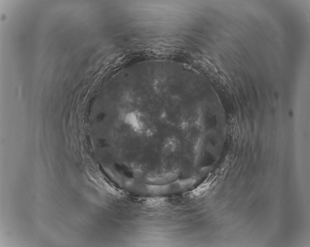 X0000089701009200706211312