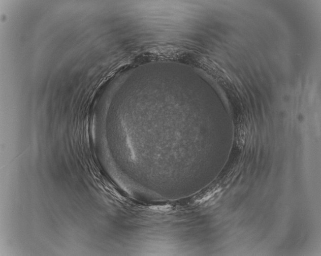 X0000089701010200706211312