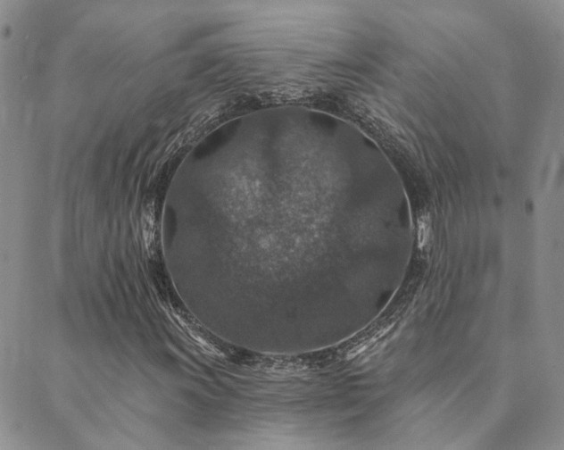 X0000089701011200706211312