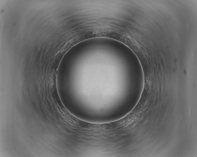 X0000089701012200706211312