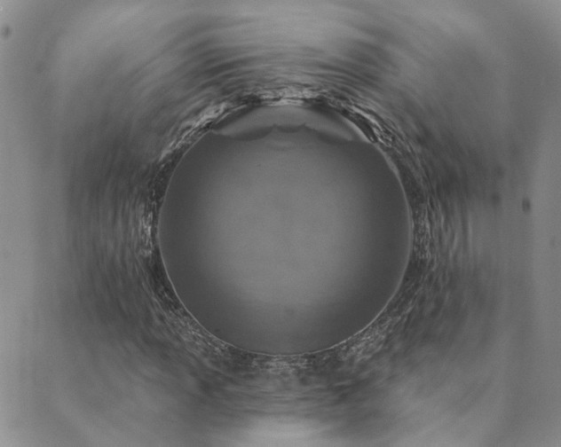 X0000089701013200706211312