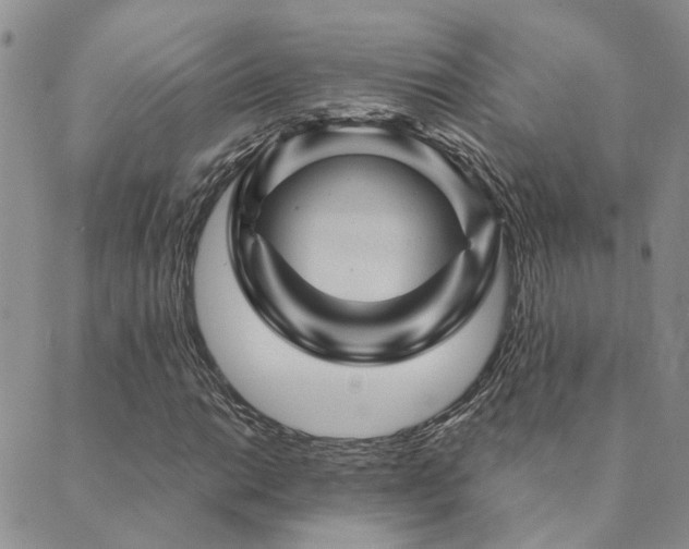 X0000089701014200706211312