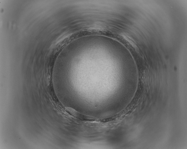 X0000089701015200706211312