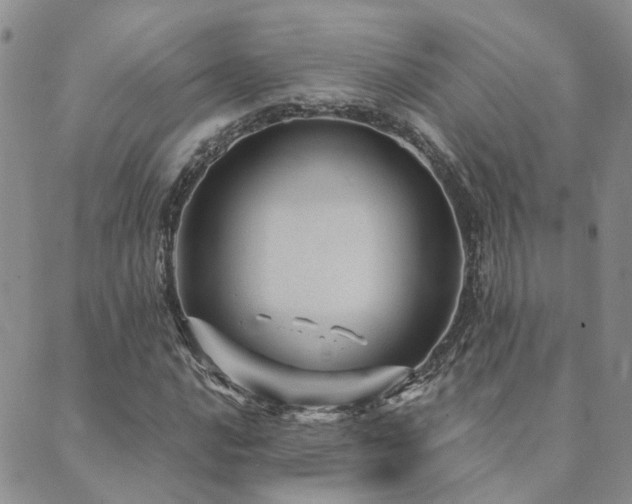 X0000089701016200706211312