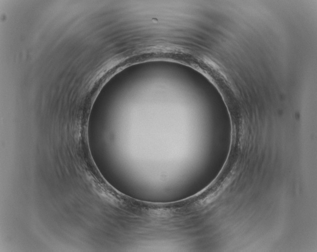 X0000089701017200706211312