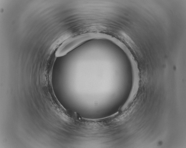 X0000089701018200706211312