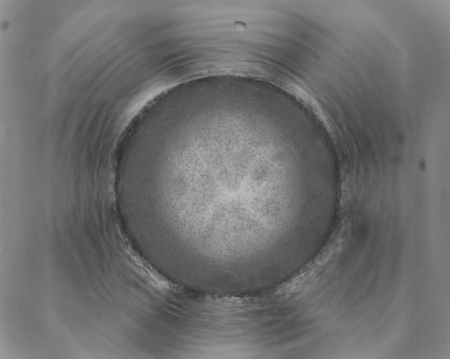 X0000089701019200706211312