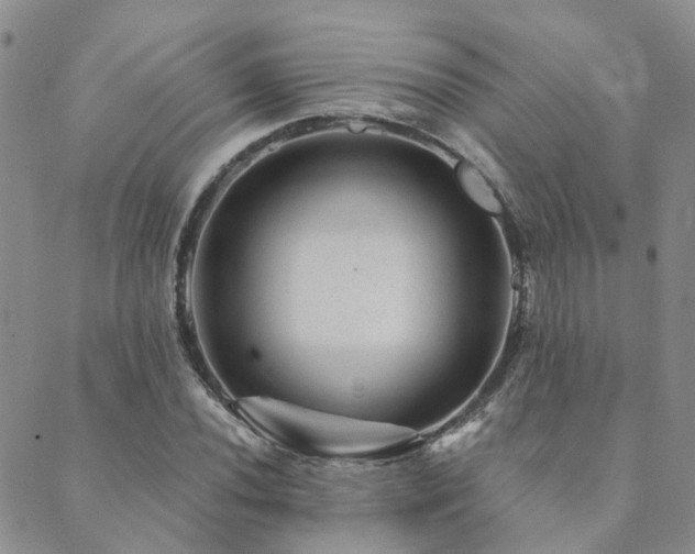 X0000089701020200706211312