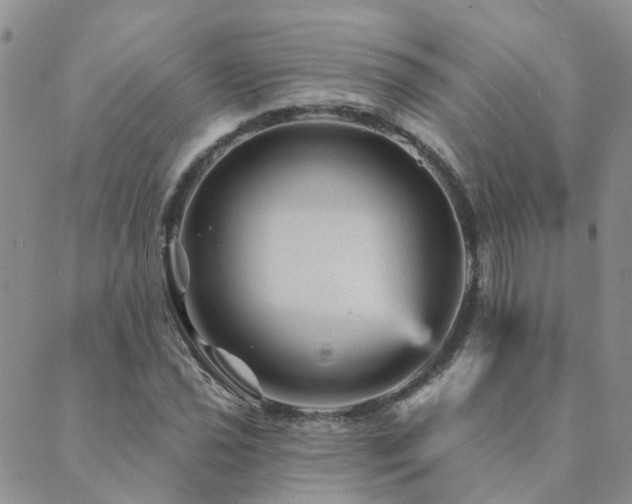 X0000089701021200706211312