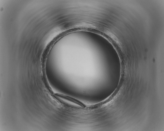 X0000089701022200706211312