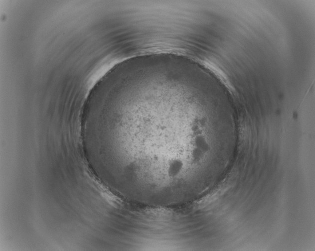 X0000089701023200706211312