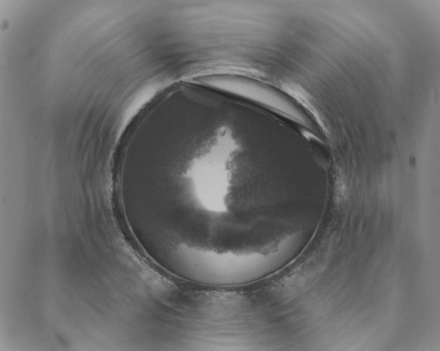 X0000089701024200706211312