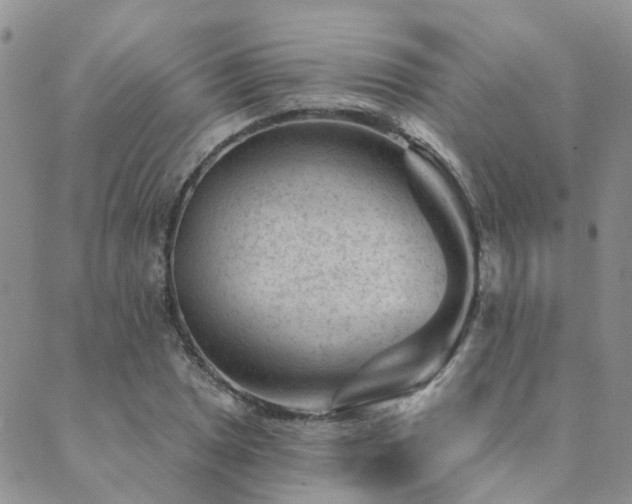 X0000089701025200706211312