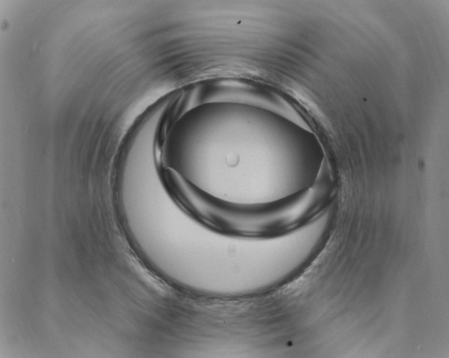 X0000089701026200706211312