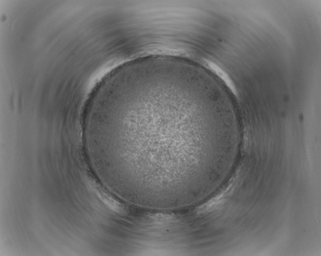 X0000089701027200706211313