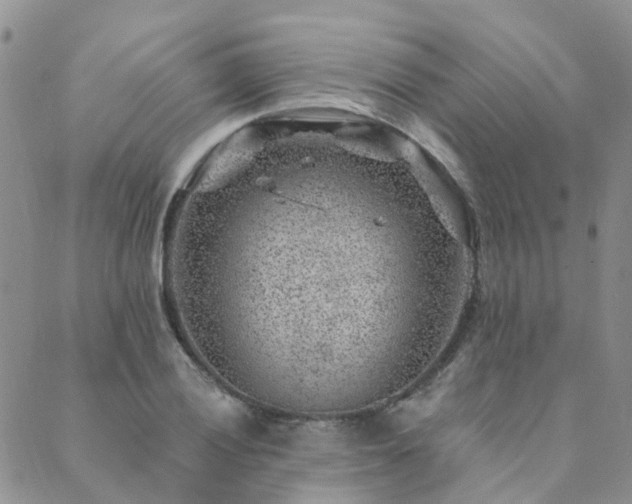 X0000089701028200706211313