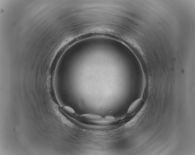 X0000089701029200706211313