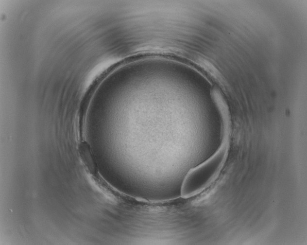 X0000089701030200706211313