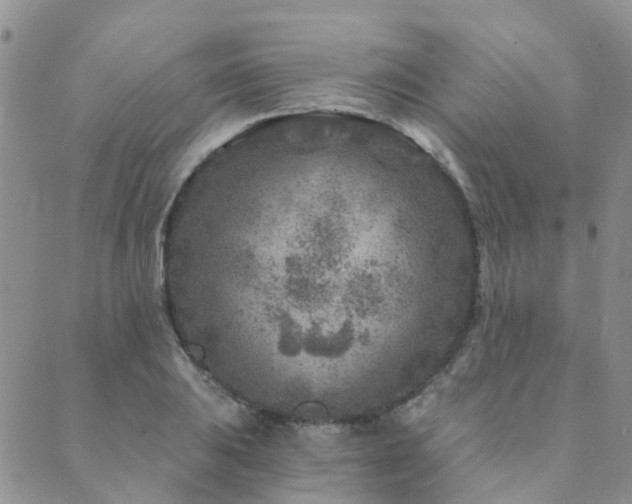 X0000089701031200706211313