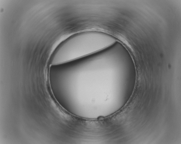 X0000089701032200706211313