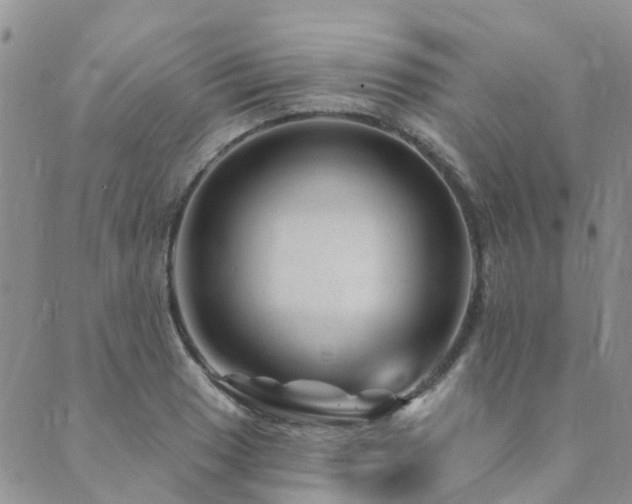 X0000089701033200706211313