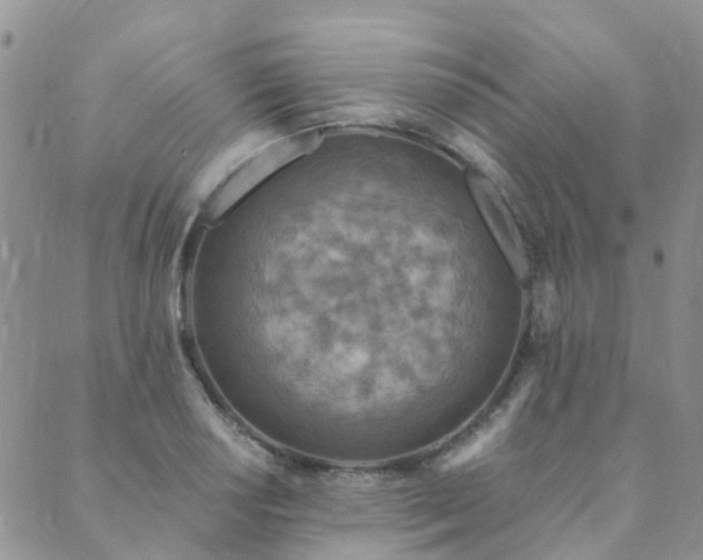 X0000089701034200706211313