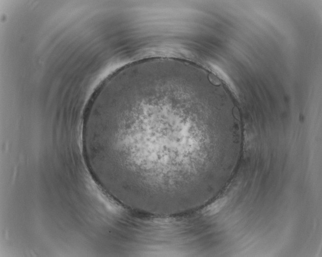 X0000089701035200706211313