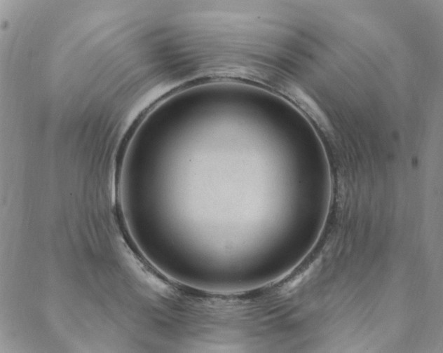 X0000089701036200706211313