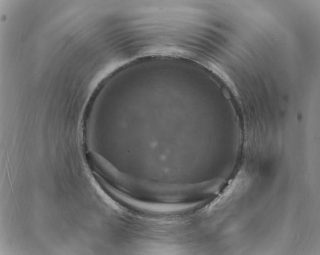 X0000089701037200706211313