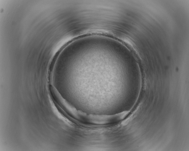 X0000089701038200706211313