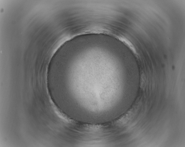 X0000089701039200706211313