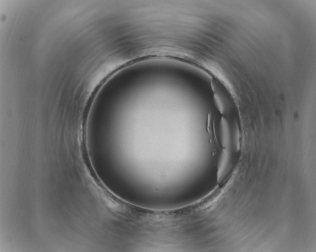 X0000089701040200706211313