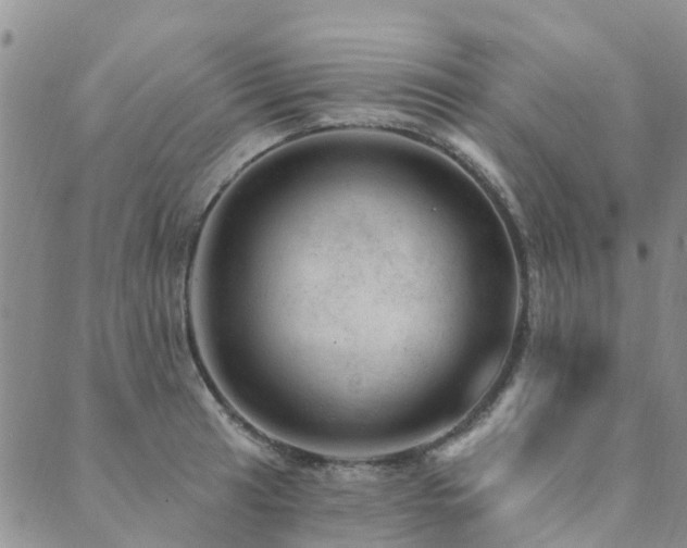 X0000089701041200706211313