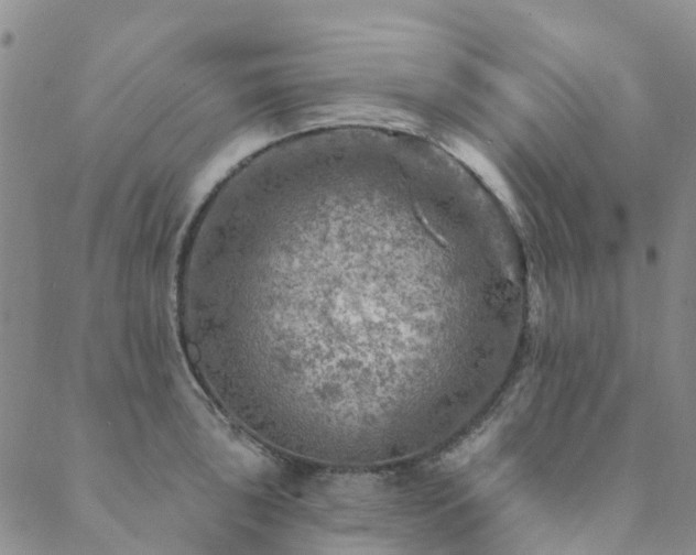 X0000089701043200706211313