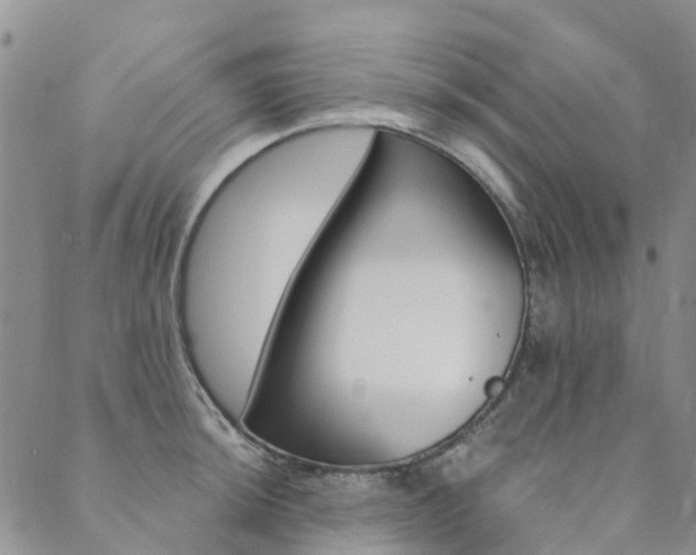 X0000089701044200706211313