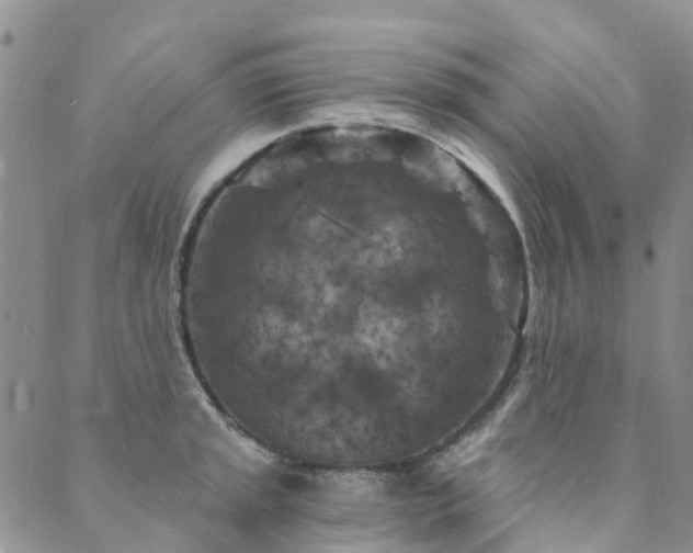 X0000089701045200706211313