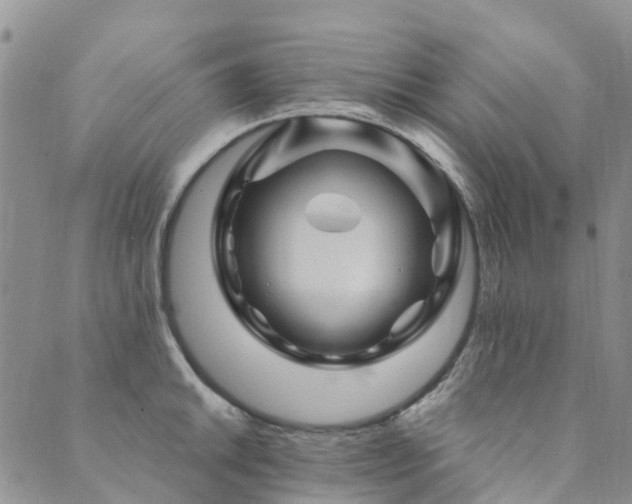 X0000089701046200706211313