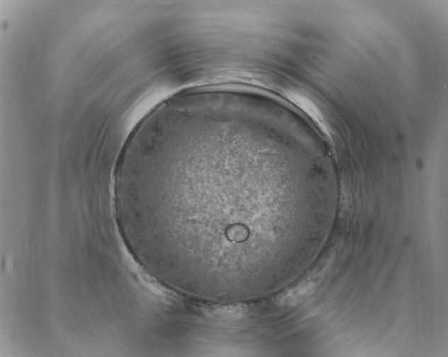 X0000089701047200706211313